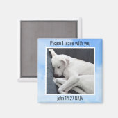 Mijn vrede Ik geef je Bijbel Verse Hond in Blue Sk Magneet (Voorkant / Achterkant)