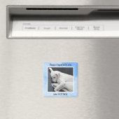 Mijn vrede Ik geef je Bijbel Verse Hond in Blue Sk Magneet (Insitu (Vaatwasser))