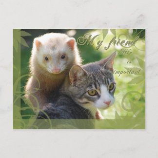 Mijn vriend briefkaart