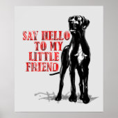 Mijn vriend de Grote Daan Poster (Voorkant)