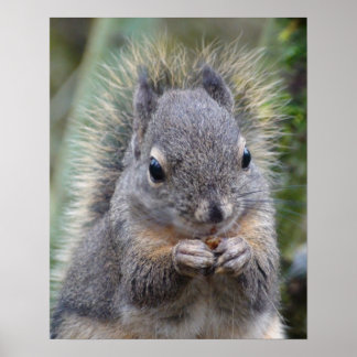 Mijn vriend Fuzzy Poster