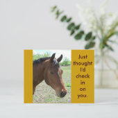 Mijn vriend, het paard briefkaart (Staand voorkant)