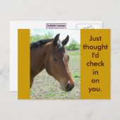 Mijn vriend, het paard briefkaart (Voorkant / Achterkant)