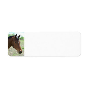 Mijn vriend, het paard - gepersonaliseerd etiket