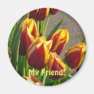 Mijn vriend! magneet Rood Geel Lente Tulp Bloemen