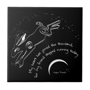 MIJN VRIEND TEGELTJE