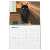 Mijn vrienden Trio Kalender (Mar 2027)