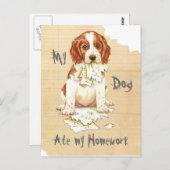 Mijn Welsh Springer Ate Mijn thuiswerk Briefkaart (Voorkant / Achterkant)
