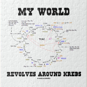 Mijn wereld revolt rond krebs (energiecyclus) legpuzzel