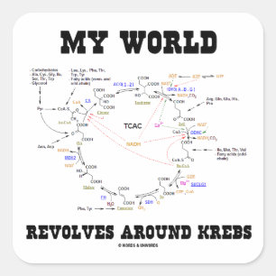 Mijn wereld revolt rond krebs (energiecyclus) vierkante sticker