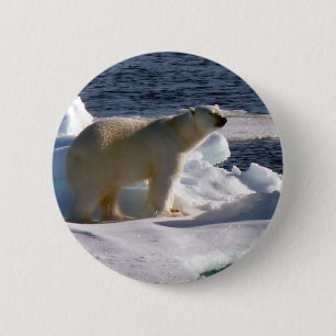 Mijn wereld smelt! ronde button 5,7 cm