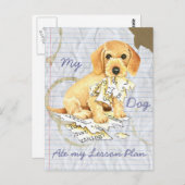 Mijn Wirehaire Dachshund Ate mijn Lesson Plan Briefkaart (Voorkant / Achterkant)