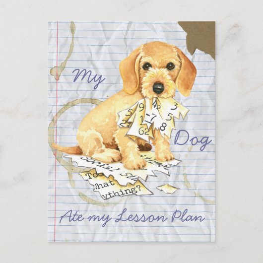 Mijn Wirehaire Dachshund Ate mijn Lesson Plan Briefkaart (Voorkant)