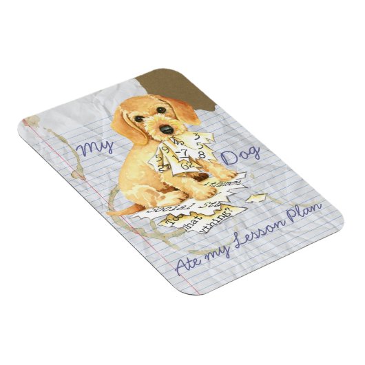Mijn Wirehaire Dachshund Ate mijn Lesson Plan Magneet (Rechterzijde)