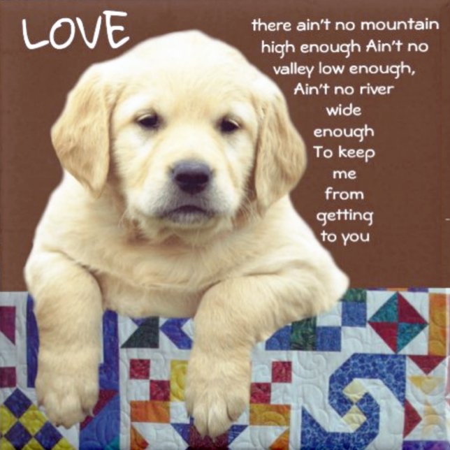 "MIJN WONDERLAND" HORLOGE (Creator heeft geüpload)