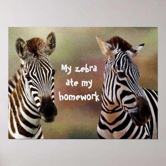 Mijn Zebra Ate Mijn thuiswerk Classroom Poster (Voorkant)