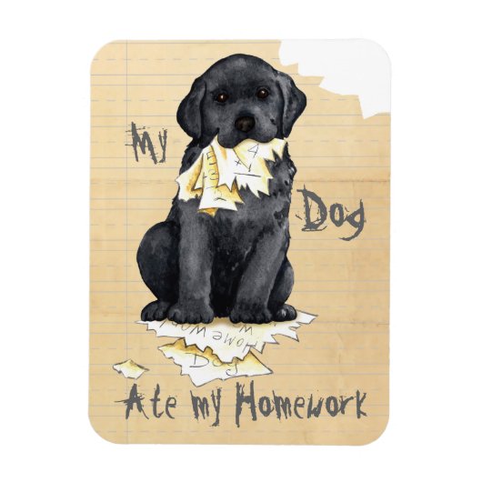 Mijn zwart lab Ate Mijn thuiswerk Magneet (Verticaal)
