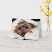 Mikayla Kaart (Gele Bloem)