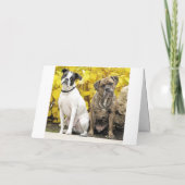 Mike & Molly's bruiloft Aankondiging (Achterkant)