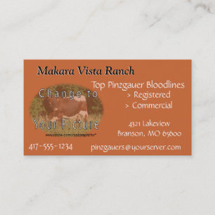 MikeCard 2 — stel beide zijden aan Visitekaartje