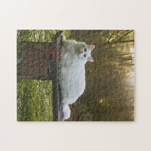 Mikey's Walk Puzzle (Horizontal)