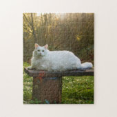 Mikey's Walk Puzzle (Vertical)