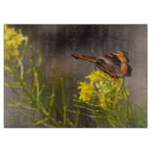 Milbert's Tortoiseshel Butterfly gaat dicht Snijplank (Voorkant)