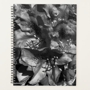 Milde Leugen Planner