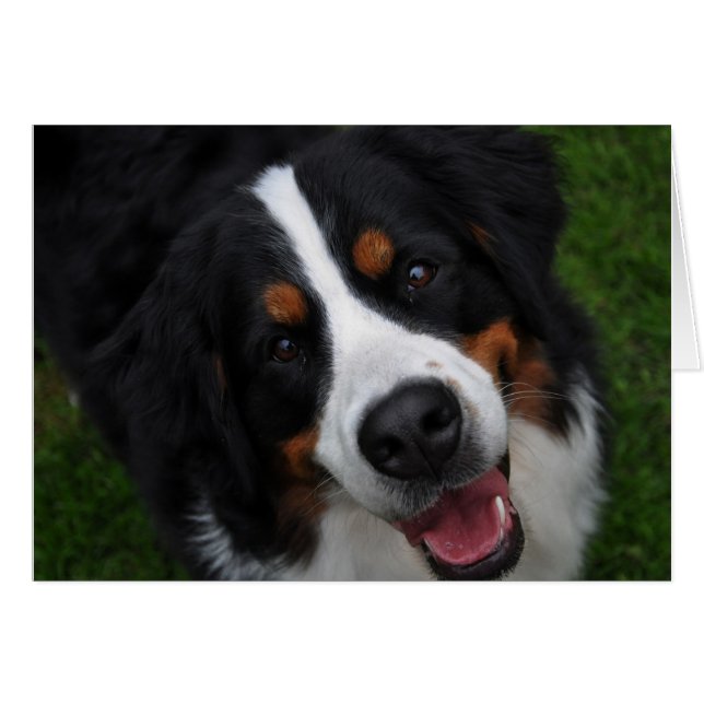 milde zijde (Voorkant Horizontaal)