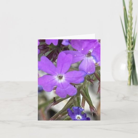 Mildred de Ant 🐜 kijkt op Bedankkaart (Voorkant)