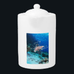 Miles de poissons-lions ou de ptérois, poissons de<br><div class="desc">Un puits de lumière traverse l'eau bleue, illuminant un récif corallien plein de vie. La lumière du soleil danse à la surface, créant un sentier chatoyant à travers le sable turquoise qui descend doucement vers le haut vers la gauche. Au premier plan, des coraux colorés jaillissent des fonds marins, comme...</div>