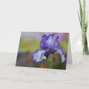Miles De Sourires Carte Anniversaire