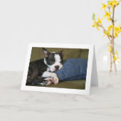 Miley is geërgerd kaart (Gele Bloem)