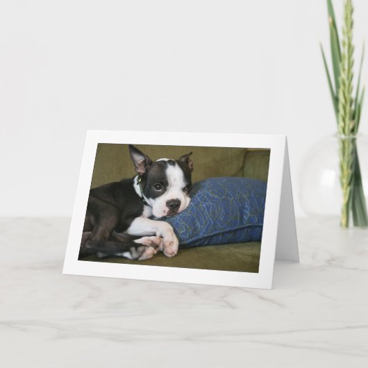 Miley is geërgerd kaart (Voorkant)