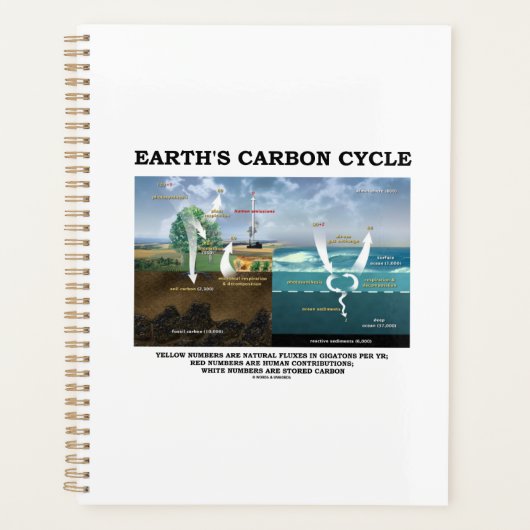 Milieuwetenschappen van de Aarde in de koolstofcyc Planner (Voorkant)