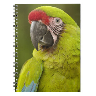Militaire Ara Notitieboek