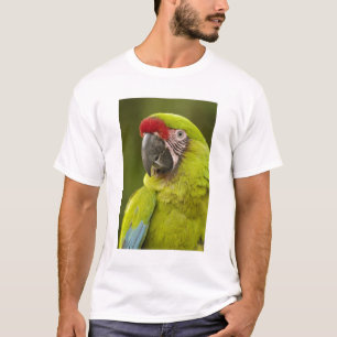 Militaire Ara T-shirt