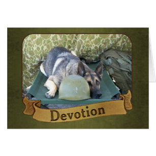 Militaire Duitse herder