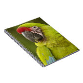 Militaire Macaw Notitieboek (Rechterzijde)