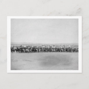 Militaire Mannen met 70 Lakota Indische scouts Briefkaart