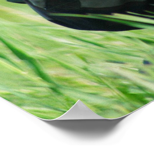 militaire Posters 15 (Hoek)