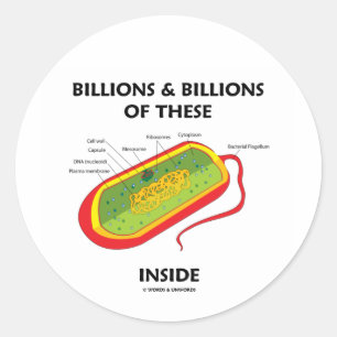 Miljarden & miljarden van deze (prokaryote) binnen ronde sticker