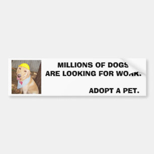 MILJOENEN HONDEN KIJKEN NAAR WERK. BUMPERSTICKER