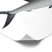 Milkfish Magnet Poster (Hoek)