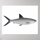Milkfish Magnet Poster (Voorkant)