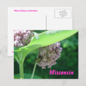 Milkweed Blooms Briefkaart (Voorkant / Achterkant)