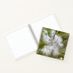 Milkweed   Botervlieg   Schets Notitieboek