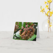 Milkweed de fleur sauvage de carte de note de (Fleur jaune)