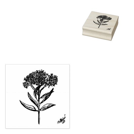 Milkweed Hand Drawing Afbeelding geëtst op stempel (Gestempeld)
