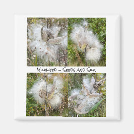 Milkweed | Natuurlijke Magneet